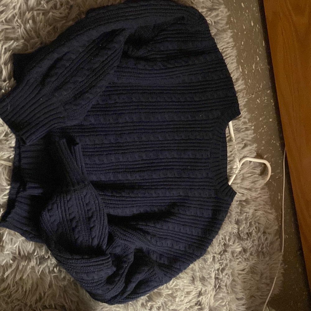 Beverly and Beck collection cropped navy sweater bought from pacsun recently.